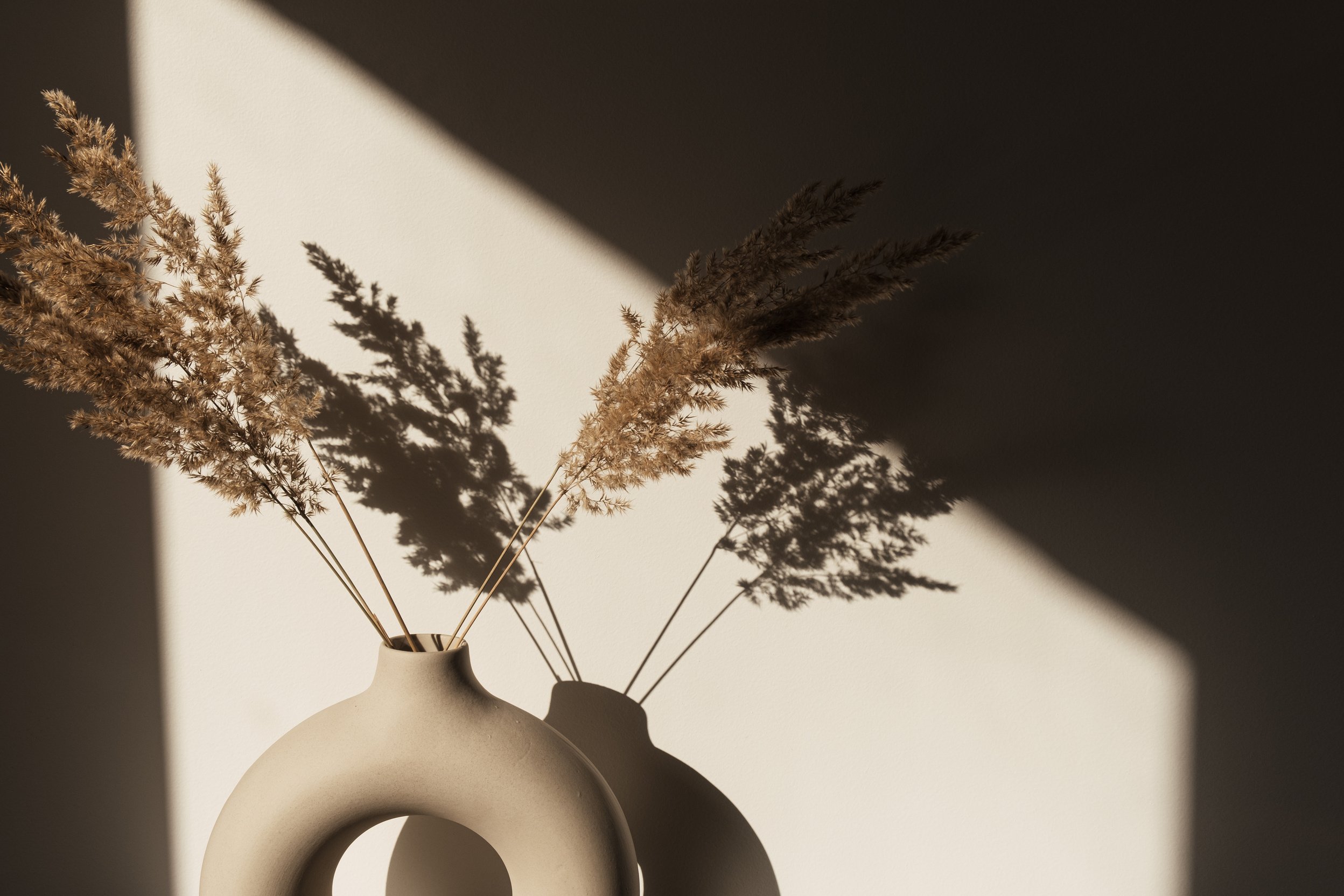 Pampas on a Vase 